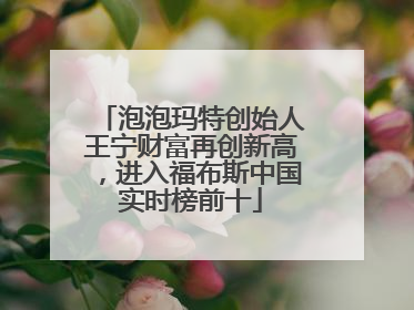 泡泡玛特创始人王宁财富再创新高，进入福布斯中国实时榜前十