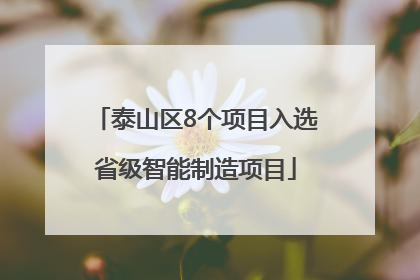 泰山区8个项目入选省级智能制造项目