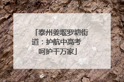 泰州姜堰罗塘街道：护航中高考 呵护千万家