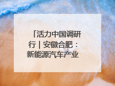 活力中国调研行｜安徽合肥：新能源汽车产业“加速跑”