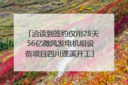 洽谈到签约仅用28天 56亿微风发电机组设备项目四川蓬溪开工