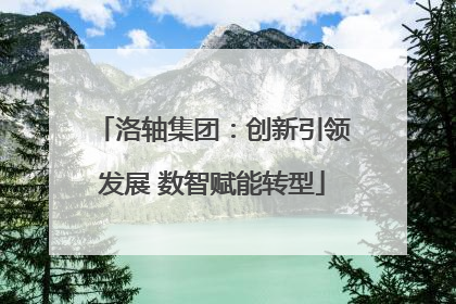 洛轴集团：创新引领发展 数智赋能转型