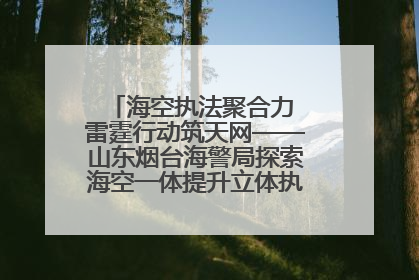 海空执法聚合力 雷霆行动筑天网——山东烟台海警局探索海空一体提升立体执法效能纪实