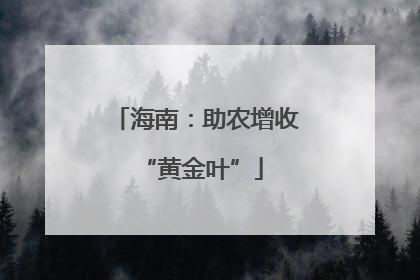海南：助农增收 “黄金叶”