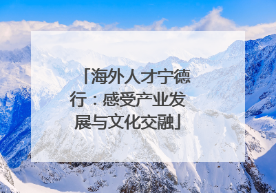 海外人才宁德行：感受产业发展与文化交融