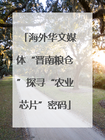 海外华文媒体“晋南粮仓”探寻“农业芯片”密码