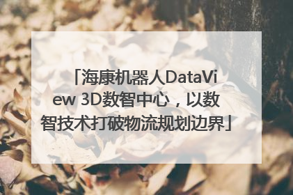 海康机器人DataView 3D数智中心，以数智技术打破物流规划边界