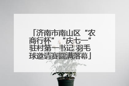 济南市南山区“农商行杯”“庆七一”驻村第一书记 羽毛球邀请赛圆满落幕
