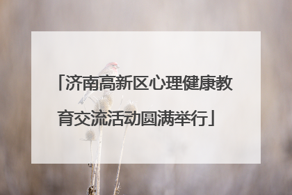 济南高新区心理健康教育交流活动圆满举行