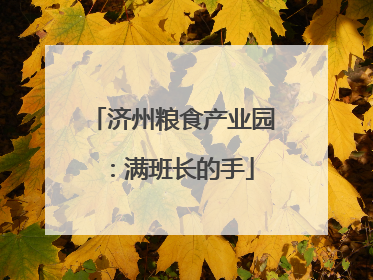 济州粮食产业园：满班长的手