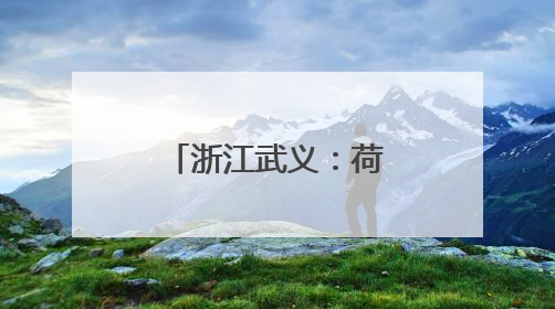 浙江武义：荷花产业助致富