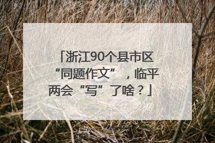 浙江90个县市区“同题作文”，临平两会“写”了啥？