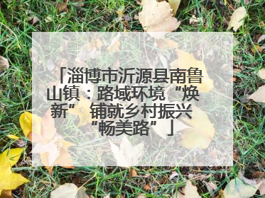 淄博市沂源县南鲁山镇：路域环境“焕新” 铺就乡村振兴“畅美路”
