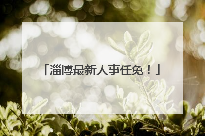 淄博最新人事任免！
