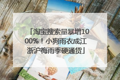 淘宝搜索量暴增1000%！小狗雨衣成江浙沪梅雨季硬通货