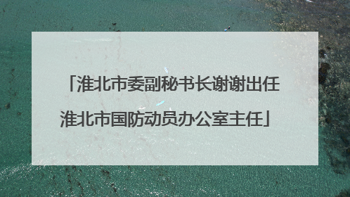 淮北市委副秘书长谢谢出任淮北市国防动员办公室主任