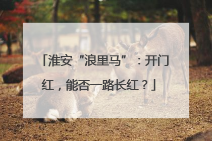 淮安“浪里马”：开门红，能否一路长红？