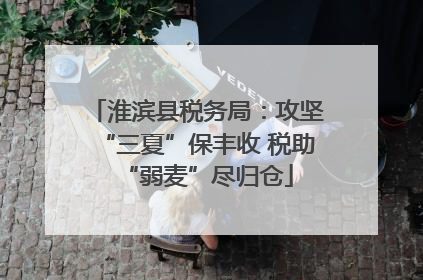 淮滨县税务局：攻坚“三夏”保丰收 税助“弱麦”尽归仓