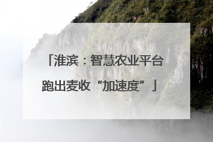淮滨：智慧农业平台跑出麦收“加速度”