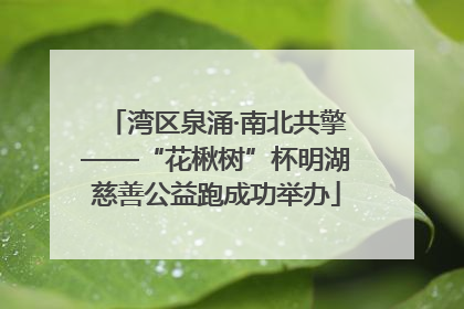 湾区泉涌·南北共擎——“花楸树”杯明湖慈善公益跑成功举办