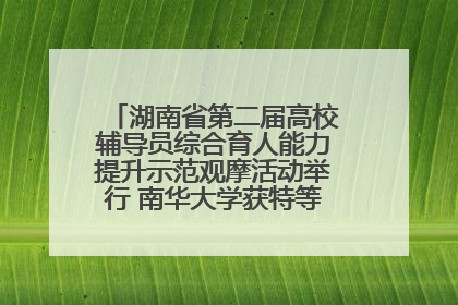 湖南省第二届高校辅导员综合育人能力提升示范观摩活动举行 南华大学获特等奖和一等奖