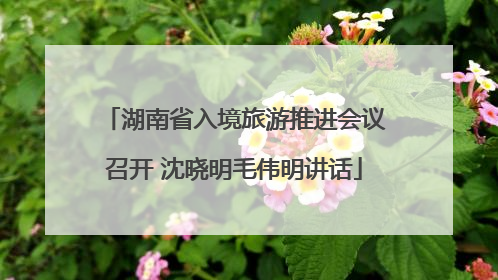湖南省入境旅游推进会议召开 沈晓明毛伟明讲话