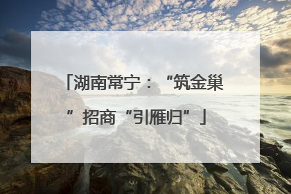 湖南常宁：“筑金巢”招商“引雁归”
