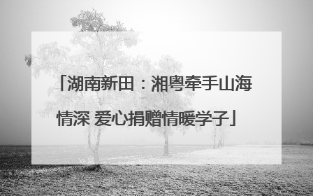 湖南新田：湘粤牵手山海情深 爱心捐赠情暖学子