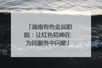 湖南有色金属职院：让红色精神在为民服务中闪耀