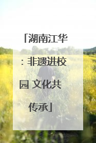 湖南江华：非遗进校园 文化共传承