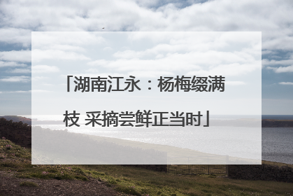 湖南江永：杨梅缀满枝 采摘尝鲜正当时