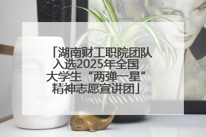 湖南财工职院团队入选2025年全国大学生“两弹一星”精神志愿宣讲团