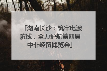 湖南长沙：筑牢电波防线，全力护航第四届中非经贸博览会