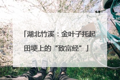 湖北竹溪：金叶子托起田埂上的“致富经”