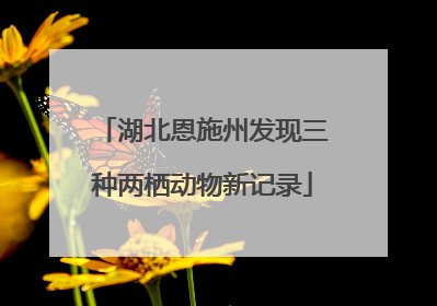 湖北恩施州发现三种两栖动物新记录