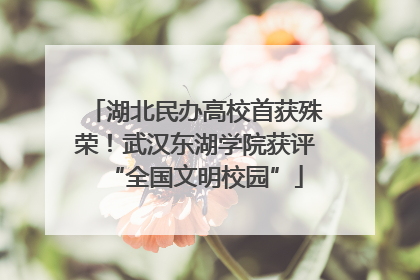 湖北民办高校首获殊荣！武汉东湖学院获评“全国文明校园”