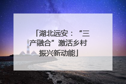 湖北远安：“三产融合”激活乡村振兴新动能