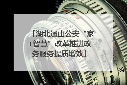 湖北通山公安“家+智慧”改革推进政务服务提质增效