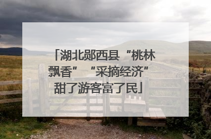 湖北郧西县“桃林飘香”“采摘经济”甜了游客富了民