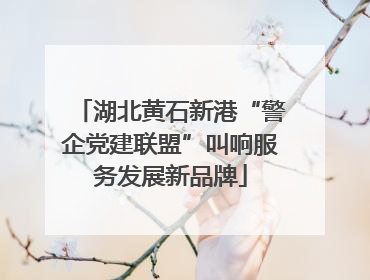 湖北黄石新港“警企党建联盟”叫响服务发展新品牌