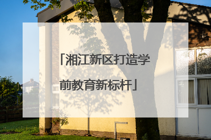 湘江新区打造学前教育新标杆