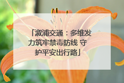 溆浦交通：多维发力筑牢禁毒防线 守护平安出行路