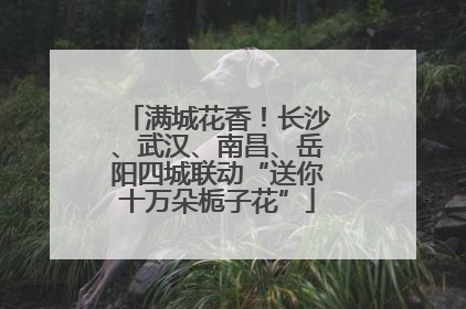 满城花香！长沙、武汉、南昌、岳阳四城联动“送你十万朵栀子花”