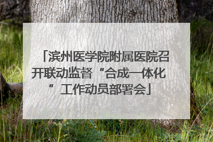 滨州医学院附属医院召开联动监督“合成一体化”工作动员部署会