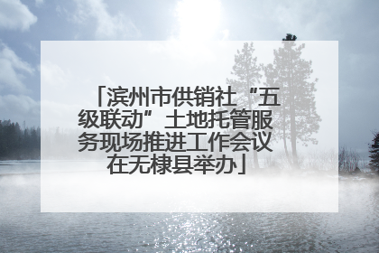 滨州市供销社“五级联动”土地托管服务现场推进工作会议在无棣县举办