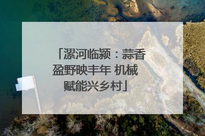 漯河临颍：蒜香盈野映丰年 机械赋能兴乡村