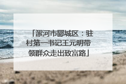 漯河市郾城区：驻村第一书记王元明带领群众走出致富路
