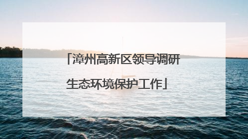 漳州高新区领导调研生态环境保护工作