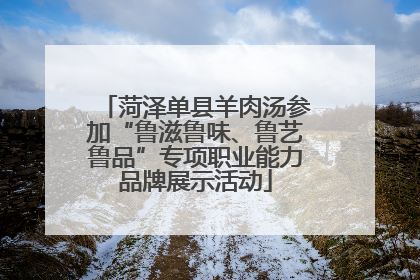 菏泽单县羊肉汤参加“鲁滋鲁味、鲁艺鲁品”专项职业能力品牌展示活动