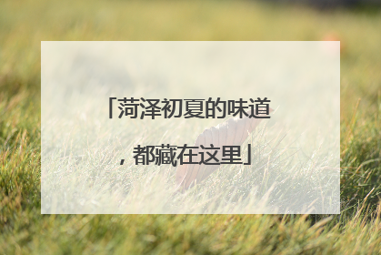 菏泽初夏的味道，都藏在这里